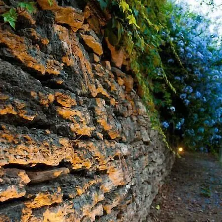 Gli Aranci فندق مبيت وإفطار أغروبولي