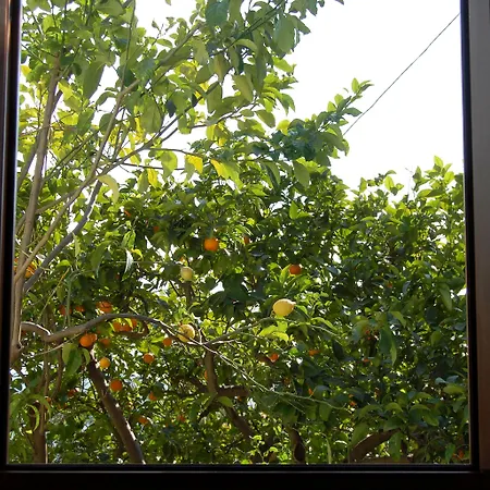 Gli Aranci Agropoli