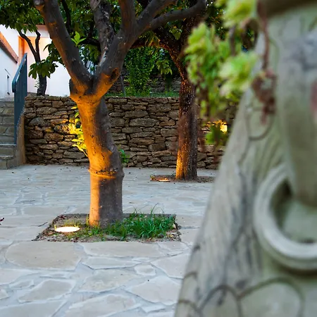 Bed and Breakfast Gli Aranci