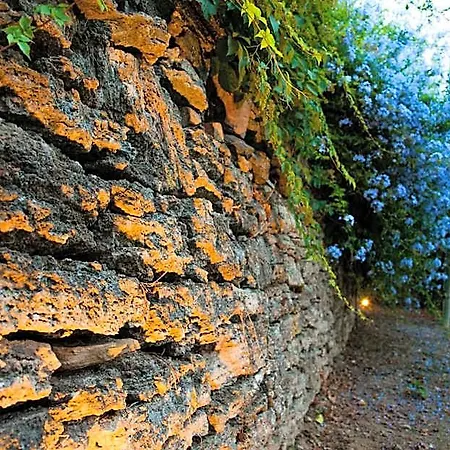 Gli Aranci Bed & Breakfast 4*