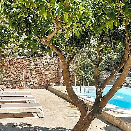 Gli Aranci Bed & Breakfast Agropoli