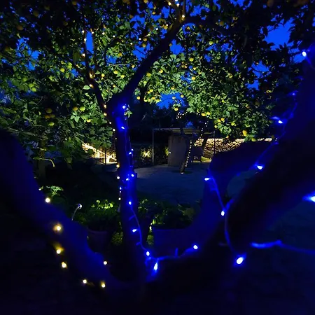 Bed & Breakfast Gli Aranci Agropoli